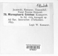 Image Associated With the Occurrence